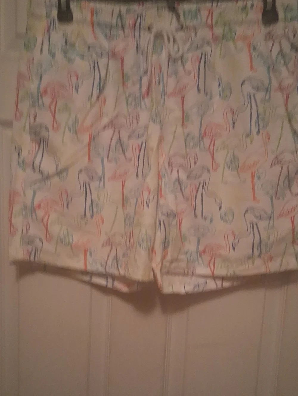Free Planet Pride Theme Flamingo-Print Swim Trunks Xl